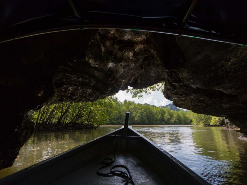 Boat entering a mangrove cave