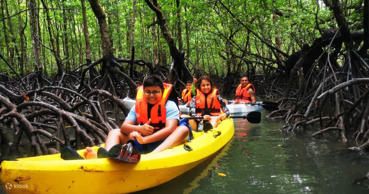 Family kayaking through the mangroves